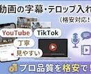 格安で動画の字幕・テロップ入れをいたし⁠ます YouTubeやTikTok対応！内容に合う字幕を入れます！ イメージ1