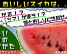 SNSの運用管理を行います Twitterやfacebookなどアカウント運用代行です！ イメージ2