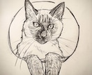 猫ちゃんのイラスト描きます 写真があればどんな猫ちゃんも描きます✏️ イメージ3