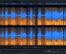 オーディオファイルのノイズ除去致します 音声のプロがノイズ除去や静音を行います イメージ2