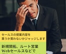 セールスの提案内容を買うか買わないかジャッジします セールスの練習を本番と同様に受けて、結果をお伝えします イメージ1