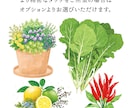 園芸関連のイラストを描きます 水彩、線画、シンボルなど、どんなタッチでもOK！ イメージ4