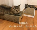 あなたの心に寄り添いながら、現実的な解決へ導きます 家族や友人に話せないお悩みも、お気軽にご相談くださいね⭐︎ イメージ3