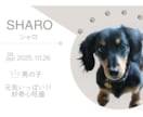 わんちゃんのオリジナル名刺を作成します お写真に合わせてかわいく印象に残るデザインに仕上げます♡ イメージ2