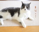 やらかしちまった失敗、お聞き致します 小さな事からやばい内容まで、秘密厳守でお聞き致します。 イメージ9