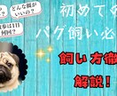 ジャンル限定！YouTube用サムネイル作成します ペット・スピ系限定ですが、丁寧に作成させていただきます。 イメージ2