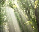 死別当事者☘誰にも言えない気持ちを安心して話せます 大切な人を亡くされた悲しみや苦しみを一人で抱えていませんか？ イメージ6