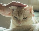 うちの親って毒親？家族の悩み、受け止めます アダルトチルドレン、毒親、過干渉、愛情飢餓…なんでもどうぞ イメージ2