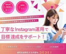 現役マーケターがInstagram運用を代行します 手動いいねサービス付き！あなたのアカウントを輝かせます！ イメージ1