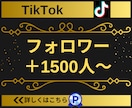 TikTokのフォロワー1500人増やします 【実績3150件以上】TikTokフォロワー増加／減少保証有 イメージ1