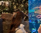 男性向け女性からのメンズコーチをします 彼女が欲しい男性に女性目線であなたへのアドバイスを送ります。 イメージ1