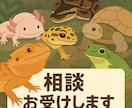 エキゾチックアニマルのお悩み相談お伺いします どんなペットの相談でもOKです イメージ10