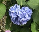 摂食障害やうつの悩み、お話聞きます 一人で頑張りすぎていませんか？？ イメージ1