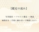 ワンコイン手相診断！手の平に刻まれた運命を占います ー あなたの手に刻まれた、運命のサイン ー イメージ4