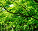 ブランドイメージに繋がる印象的な写真撮影を致します 【見た瞬間に「いいね」と言える写真をあなたへ】 イメージ9