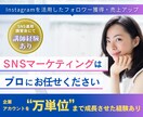 マーケティング視点で結果の出るインスタ運用できます 立ち上げから「万単位」フォロワーアカウントまで成長実績あり イメージ1