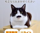 紙媒体実績20年。校正・リライトを行います 誤字脱字、表記ゆれのチェック、赤字との突き合わせなど要相談 イメージ1