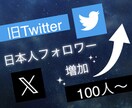 X(旧ツイッター)日本人フォロワー100人増します エックスで衝撃のコスパで保証付き！ イメージ7