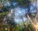 あなたの悩みに心の奥まで寄り添います 天の存在とチャネリングし、貴方へ光のメッセージを届けます。 イメージ1