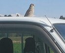 色んな写真投稿します 風景写真が主になりますが、色々なジャンルも挑戦します。 イメージ5