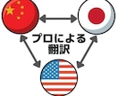 中国語・英語・日本語の文章を翻訳します 東大在学の中国語ネイティブです。翻訳なら任せてください！ イメージ1