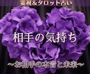 あなたにあった方法で彼の本音を詳しく占います ⁠元保育士があなたの100%味方になり、寄り添います イメージ1