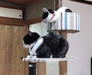 1週間チャットでゆっくり話し相手になります 何通でもOK！創作物の悩み・愚痴・雑談等交換日記感覚で楽しむ イメージ10