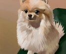 愛犬、ペットの絵を描きます リアル、デフォルメ、水彩、厚塗り、なんでもOK！ イメージ1