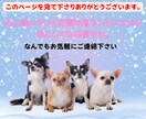 初心者向けショート動画×音楽収益の稼ぎ方教えます 登録者０でも収益化！AIとテンプレで爆速量産！ イメージ10