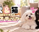 目を引くYouTubeサムネイルを制作します 見やすく伝わるデザインを丁寧に仕上げます イメージ5