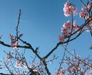 ポジティブ思考で元気を与えます 知らない人だから話せる！何でもお話聞きます。 イメージ1