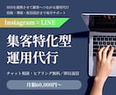 Instagram×LINE集客特化運用代行します ビデオチャットで相談しながら、集客につながるSNS運用を実現 イメージ1