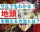 サルでもわかる！地頭を鍛える方法をお教えします 諦めないでください！地頭は後天的に良くなります！ イメージ1
