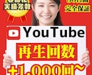 YouTube動画再生回数を1,000回増やします 振り分け可能！動画の価値を加速させます！ イメージ1