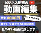ビジネス動画の編集します 見やすく、分かりやすい動画にします！ イメージ1