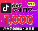 TikTok高品質フォロワー1,000人増やします 【30日間の減少保証付き】ペナルティや垢バンの報告無し イメージ1
