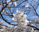 仕事復帰したい！でも不安。相談乗ります 仕事戻るのが怖い、仕事できるか不安、復帰までに体調を整えたい イメージ8