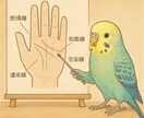 手相から読み解くあなたの魅力と運命鑑定します 頑張ってるあなたへ。“手相”でやさしく寄り添う占いです イメージ2