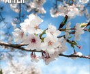 インスタ映えする写真へ24時間以内に変身させます 24時間以内にインスタ映え加工！ イメージ3