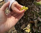 ママやパパの不安や悩み事に寄り添います 初めての子育てや周りの子との違いで不安や悩みはありませんか？ イメージ1