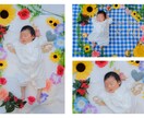 プロ写真家が出張撮影をします 個人写真・家族写真はお任せください！自然な表情を引き出します イメージ3