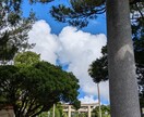 陰陽五行で悩み解決します 毎年春に弱い、夏に弱い身体の不調が陰陽五行でわかります。 イメージ4