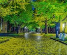 都内や都内近郊で素敵な写真の撮影代行いたします あなただけのための撮影します！ イメージ1