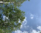 悶々としているあなたの気持ちを楽にします ★親しい人にも誰にも話せなかった思いを打ち明けてみませんか★ イメージ1