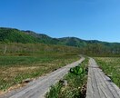 あなたの話したい！心と気持ちに寄り添いお聴きします 現役コーチが、否定せず全力であなたの味方になり心を楽にします イメージ2