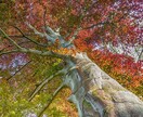 主婦の方の相談うけます 人に言えない話せない悩みの相談にのります イメージ1