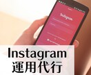 Instagram集客専門が運用代行致します インスタグラムの運用をアルゴリズムに沿って行います イメージ1