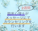 臨床心理士が2週間あなたの心に寄り添います メッセージにてしっかりカウンセリングさせていただきます イメージ1