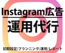 Instagram広告運用代行します 【大手総合広告代理店出身】ビデオチャット可 イメージ1