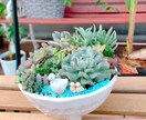 観葉植物などのちょっとした不調も気軽に相談乗ります 葉の変色や水やり方をグリーンアドバイザーがやさしく解決！ イメージ5
